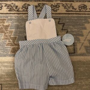 Little English Blue Gingham outfit